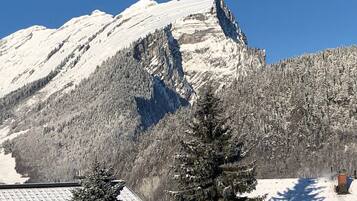 A mountain with snow-covered slopes and a forested area in the foreground.