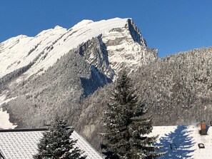 Una montaña con laderas nevadas y una zona boscosa en primer plano.