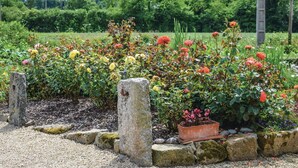 Un jardín con diversas plantas florecientes y un sendero de piedra.
