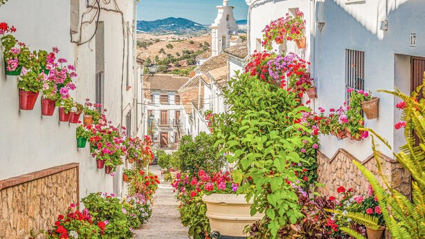 Eine enge Straße mit weißen Häusern, roten Blumen und einem Berg im Hintergrund.