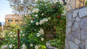 A garden with white roses, a stone wall, and a yellow building in the background.