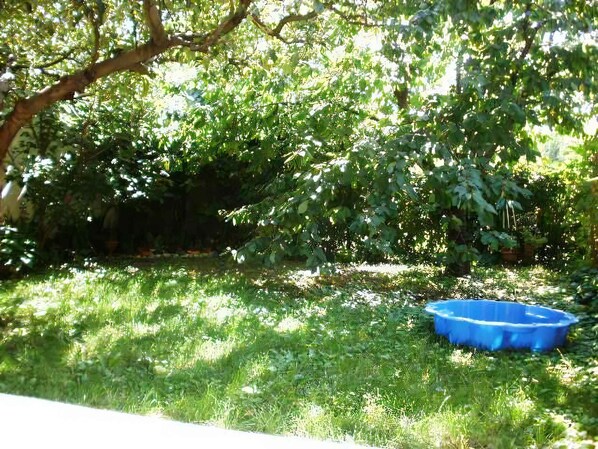 Un jardín con piscina azul, rodeado de exuberante vegetación y árboles.