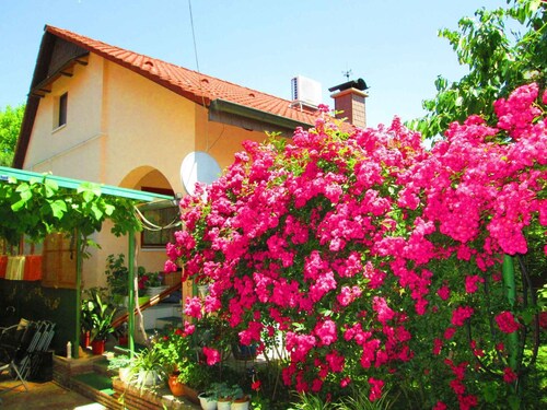 Holiday home with terrace and barbecue