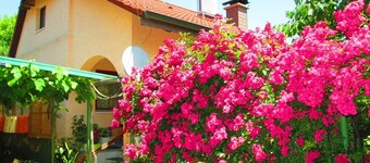 Maison de vacances avec terrasse et barbecue