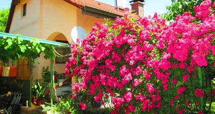 Holiday home with terrace and barbecue