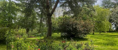 Área da propriedade