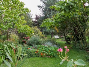 Property grounds - Apartment on the Peenewiesen - Apartment (Gützkow)