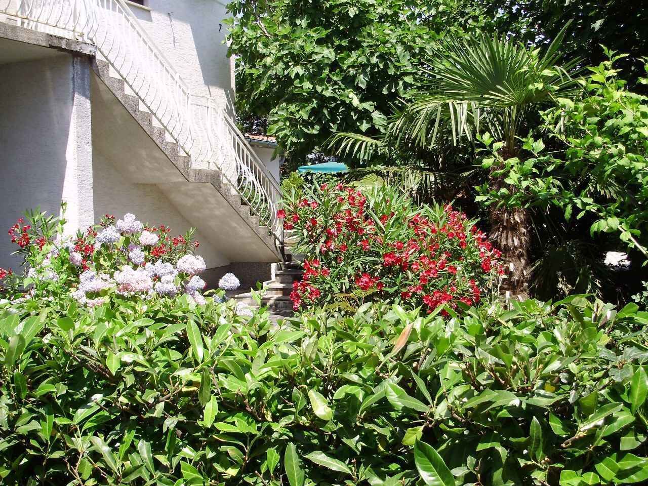 A garden with various plants and flowers, a staircase, and a building facade.