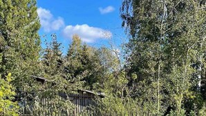 A stone pathway leading through a garden with various flowering plants and a wooden fence in the background. - Holiday home with large terrace and Wifi in beautiful surroundings (Bozanov)