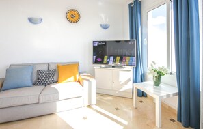 Smart-TV, Kamin