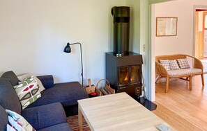 TV, fireplace, DVD player