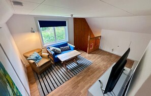 TV, fireplace, DVD player