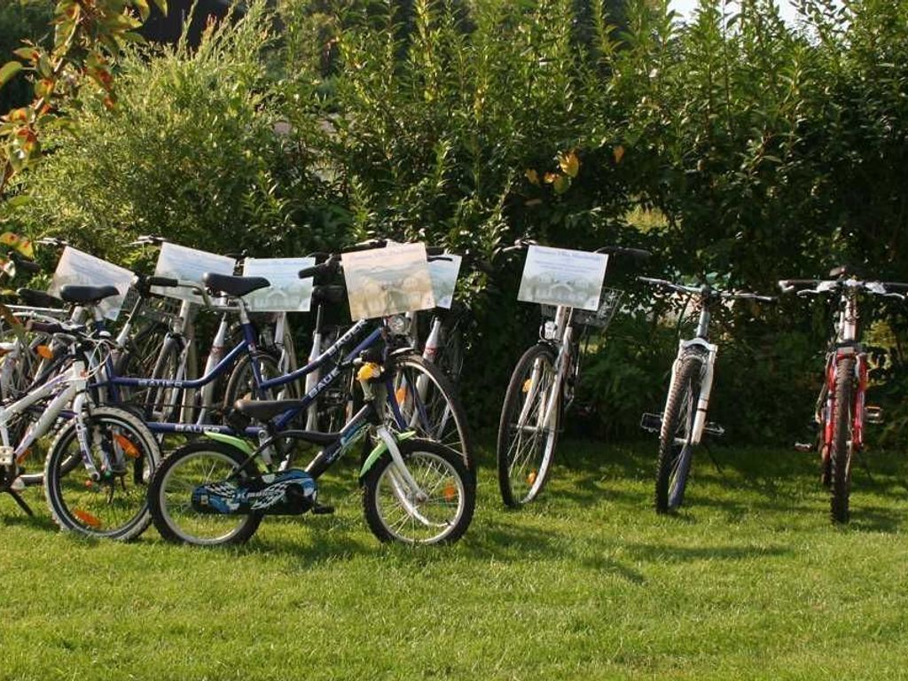 Bicicletas estacionadas numa área gramada, com árvores ao fundo.