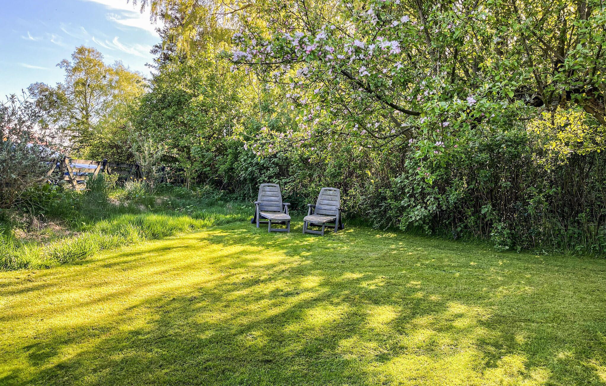 Un espace herbeux avec deux chaises en bois sous un arbre.