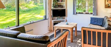 Televisión, chimenea