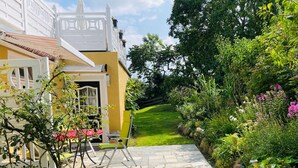 A pathway leading to a building with a yellow facade, a white gate, and a garden with various plants and flowers. - Fewo ivy - House Gundelrebe (Bergen auf Rügen)