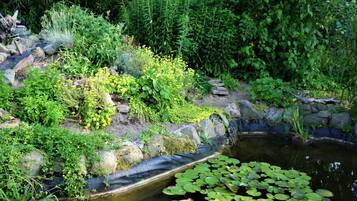 Ein Garten mit Teich, Steinen und unterschiedlicher Bepflanzung.