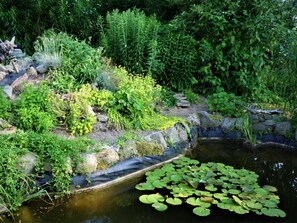 A garden with a pond, rocks, and various plants.