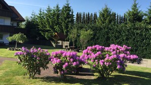 A residential area with a house, a wooden pergola, and a row of rhododendron trees.