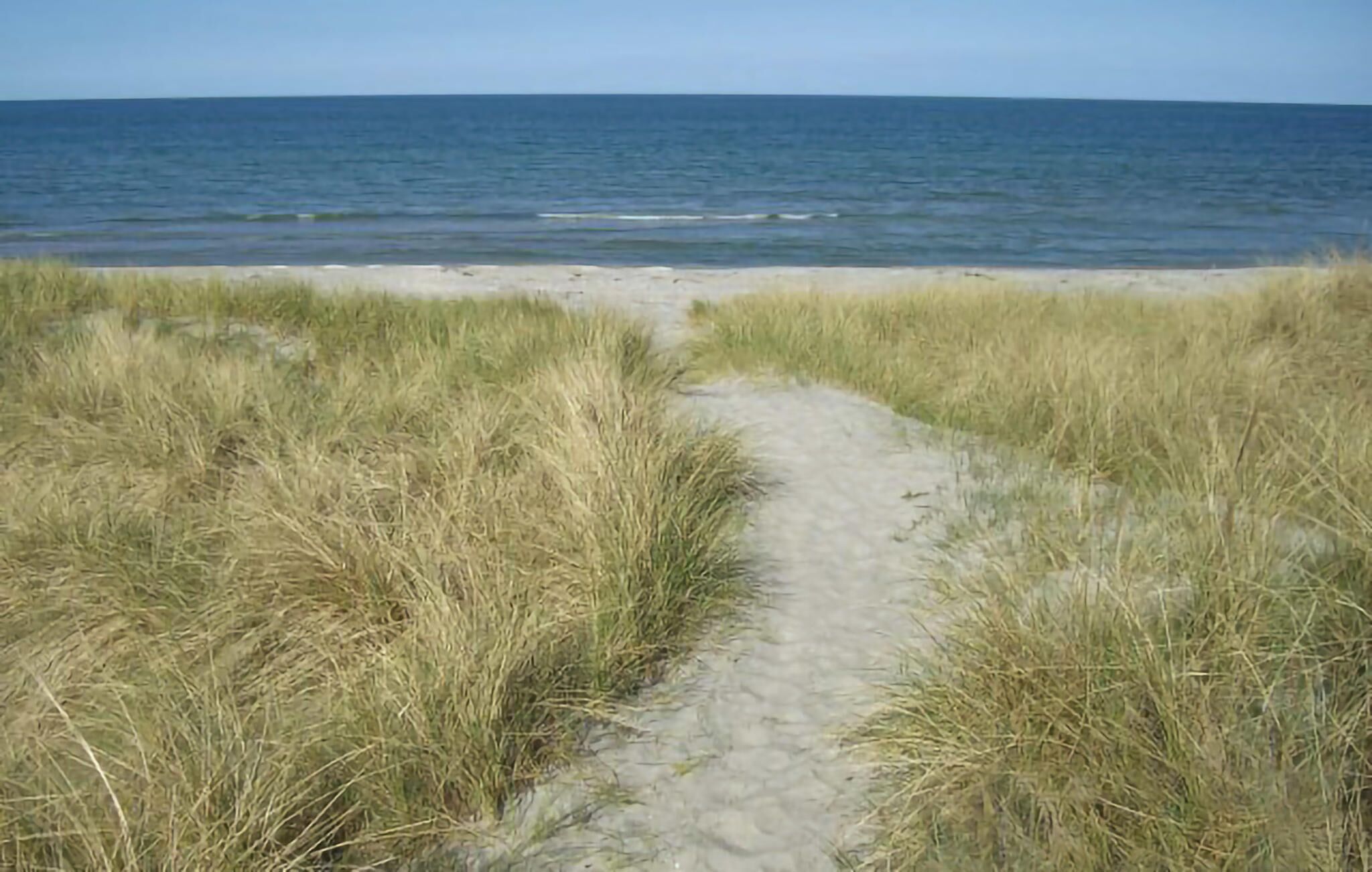 Beach nearby, fishing