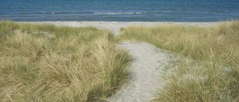 Una playa cerca, pesca