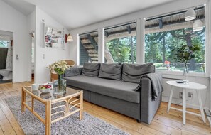 Smart-TV, Kamin