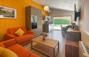 TV, fireplace, DVD player