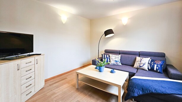 A modern living room with a flat-screen TV on a wooden cabinet, a grey sofa with decorative pillows, a coffee table with a plant, and a floor lamp. - Zeromski (ZE05) - ZE05 (Swinoujscie)