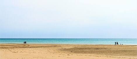 Una spiaggia nelle vicinanze
