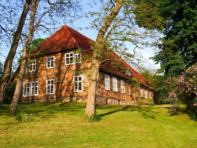 Apartment 2 - large apartments in the Manor House