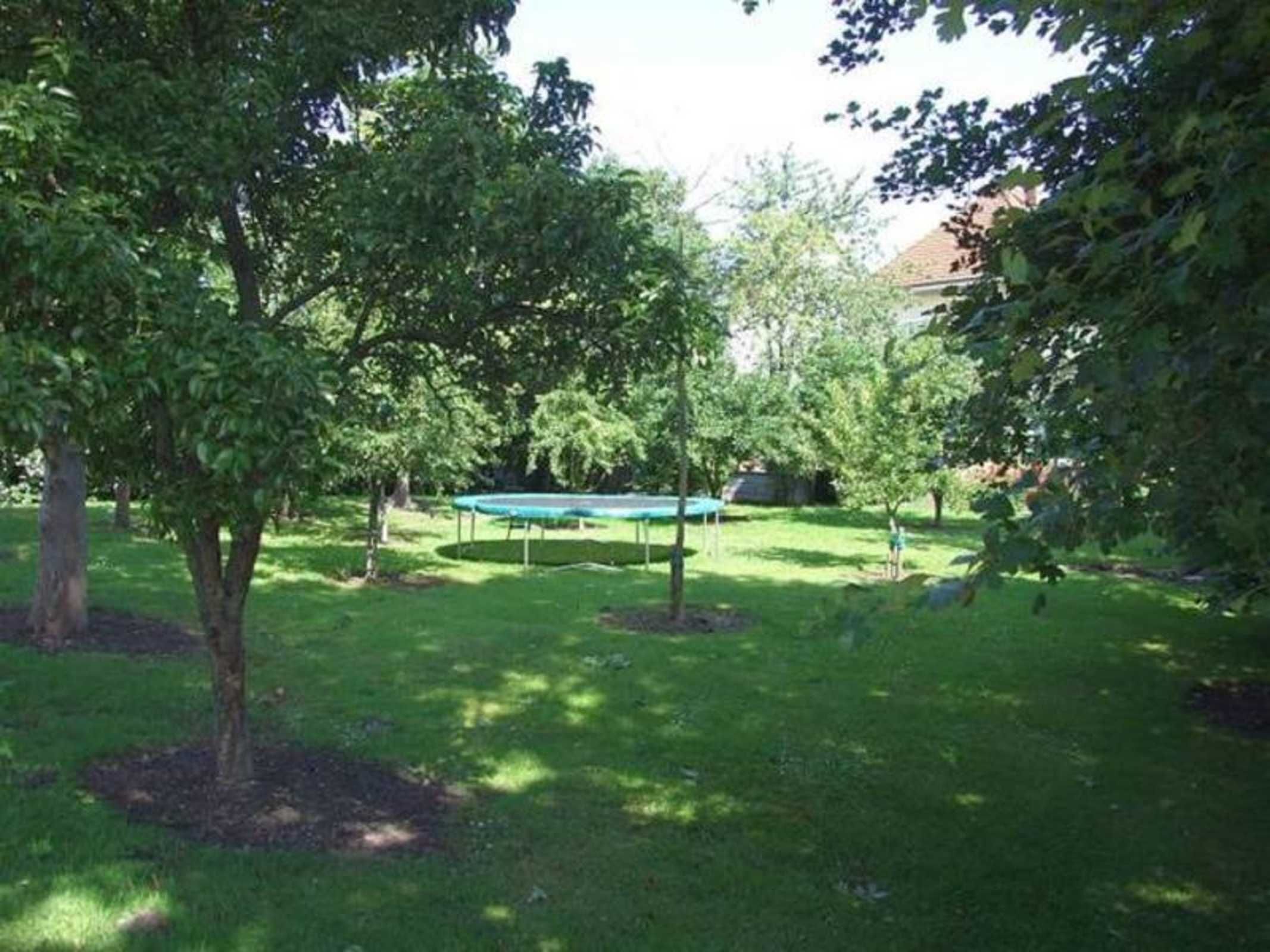 Un espacio al aire libre con césped, árboles y un trampolín.