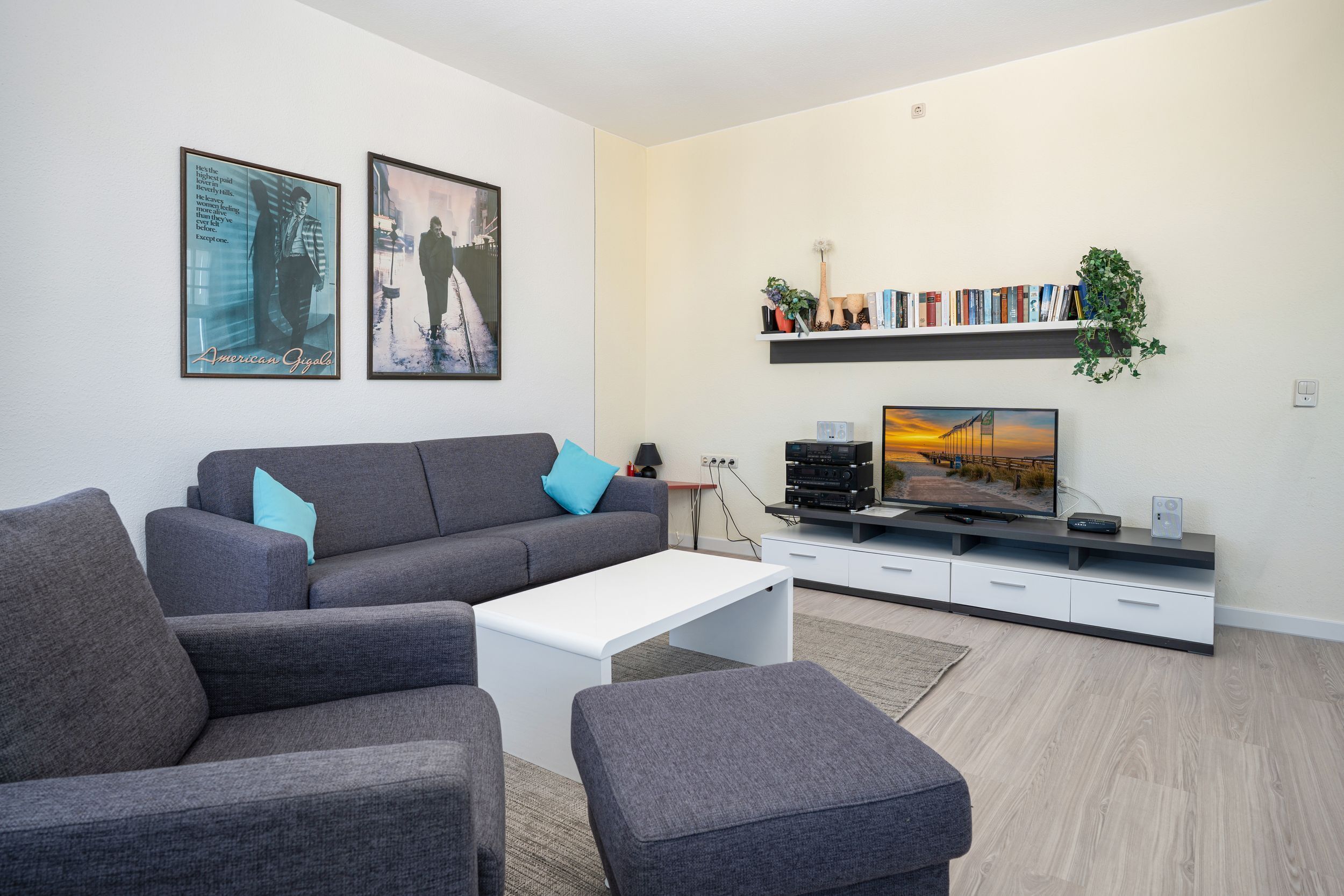 Fernseher