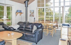 TV, fireplace, DVD player