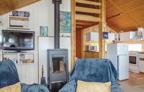 Fernseher, Kamin