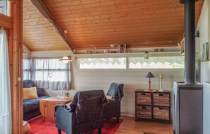 تلفزيون، مدفأة