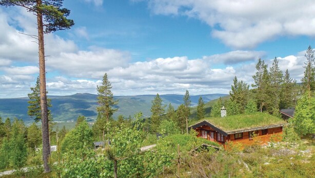 Uklassifisert bilde, 1 av 19, knapp