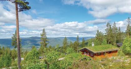 3 huoneen majoitus Rendalen
