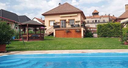 Holiday home with pool, whirlpool and air conditioning