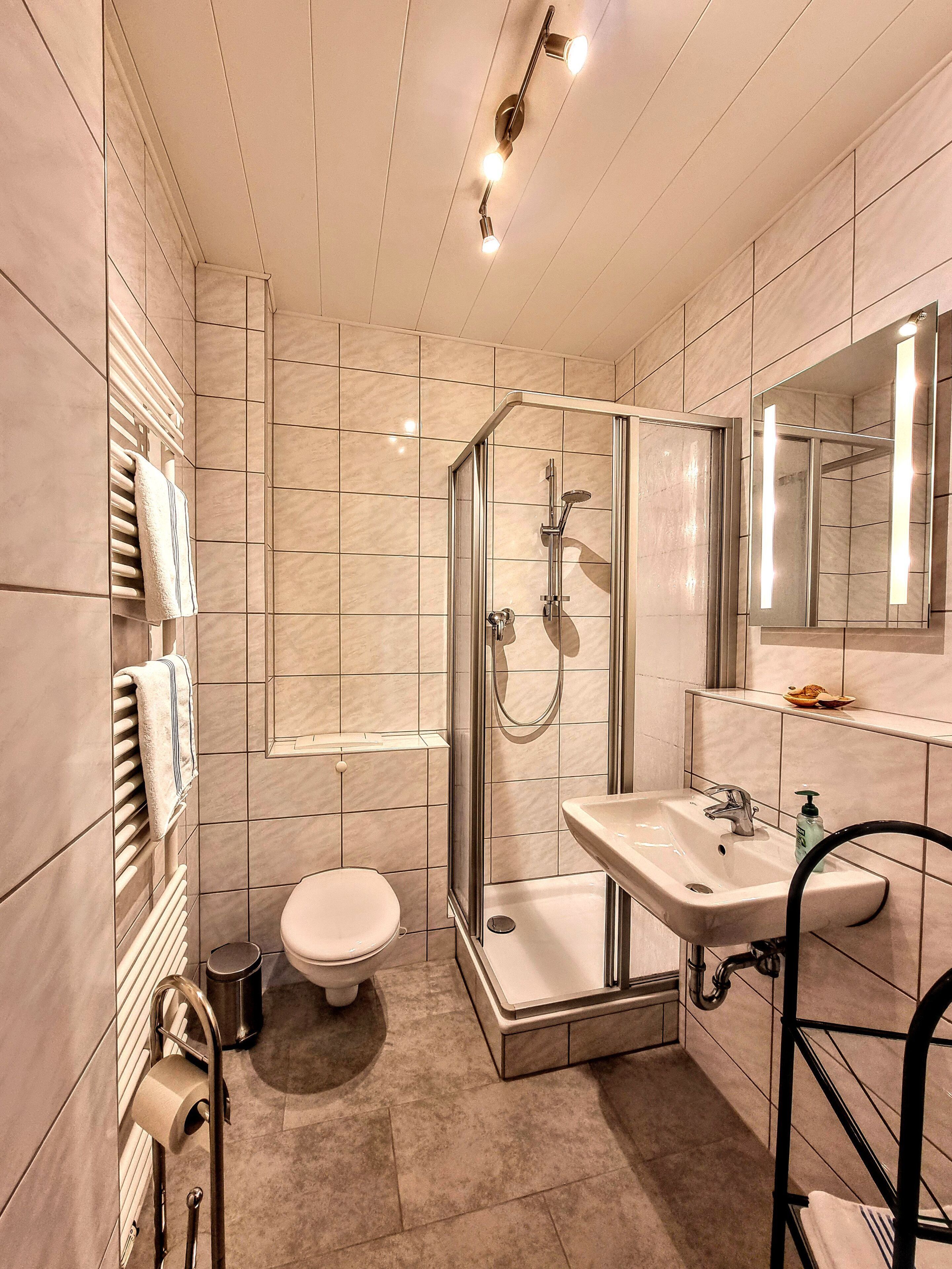Dusche, Haartrockner, Handtücher, Seife