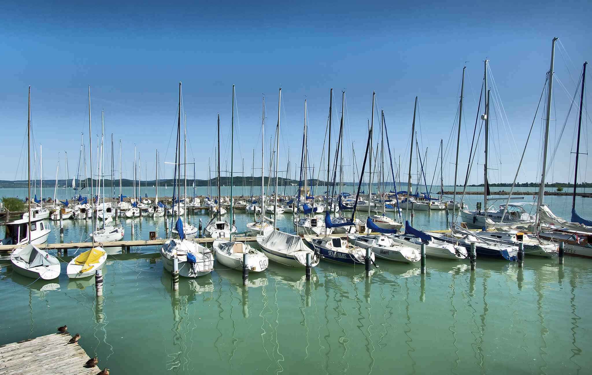 A marina with numerous sailboats docked in calm waters.
