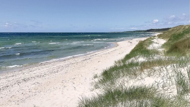 A beach with a sandy shore and grassy dunes. - Gorgeous home in Aakirkeby with sauna (Aakirkeby)