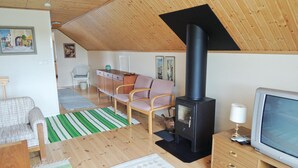 Un accogliente soggiorno con soffitto in legno, una stufa a legna nera, un televisore e un divano.