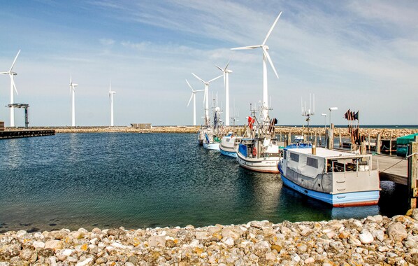 Marina