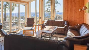 TV, fireplace, DVD player