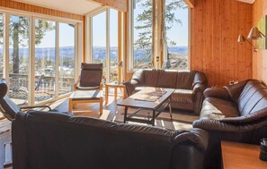 TV, fireplace, DVD player