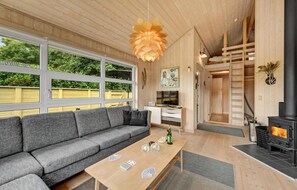 تلفزيون، مدفأة، مشغل دي في دي