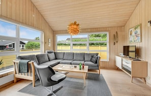 تلفزيون، مدفأة، مشغل دي في دي