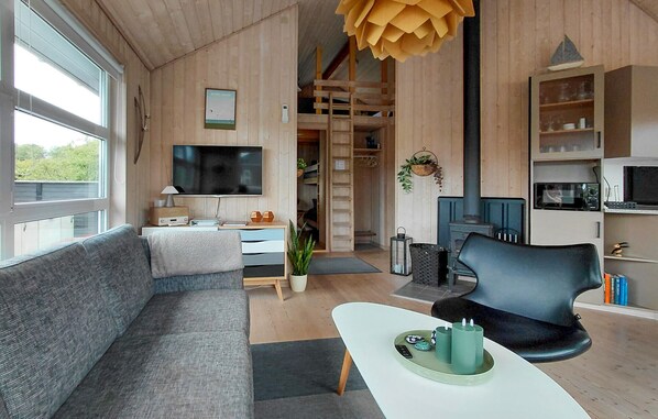TV, fireplace, DVD player