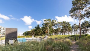 A pool area with lounge chairs, surrounded by tall trees and a clear sky.