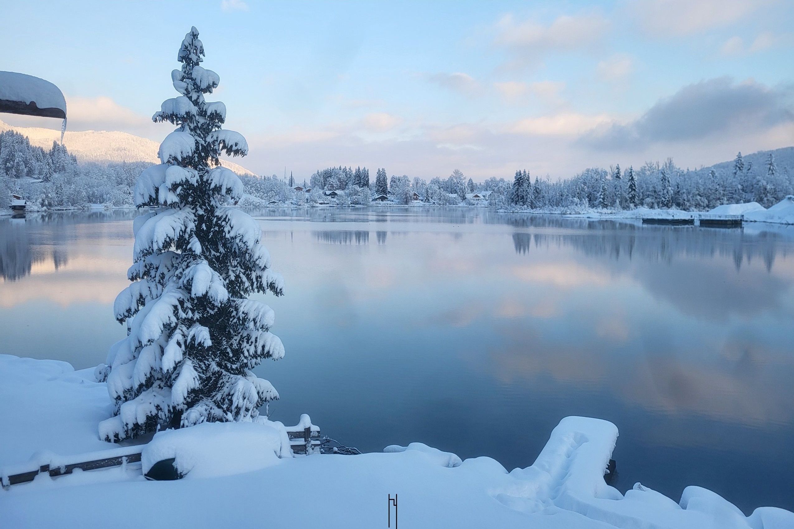 A serene winter landscape with a snow-covered tree and calm lake.